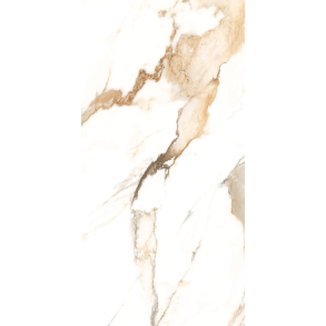 Beige - porcelain (Polished) tile
